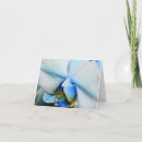 Recherche de macro vœux cartes Blanc