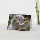 Recherche de ours de koala vœux cartes Pour elle