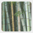 Recherche de kyoto japon autocollants Arashiyama