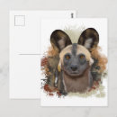Recherche de chien sauvage africain cartes postales Pour tous