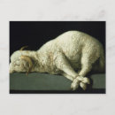 Recherche de sacrifice cartes postales Agneau