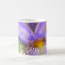 Recherche de macro tasses Iris