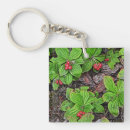 Recherche de framboise porteclés Nature