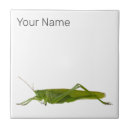 Recherche de foin carreaux Cheval