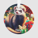 Recherche de furet ornements Mignon