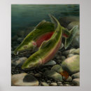 Recherche de saumon posters Coho