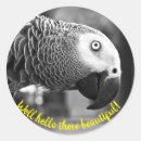 Recherche de perroquets autocollants Pour elle