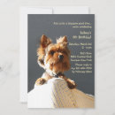 Recherche de yorkshire invitations Animal de compagnie