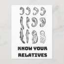 Recherche de evolution cartes postales Geek