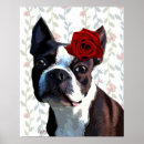 Recherche de terrier de boston posters Steampunk