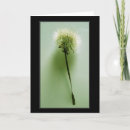 Recherche de fragile vœux cartes Fleur