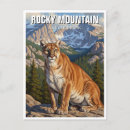 Recherche de cougar cartes postales Lion de montagne