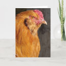 Recherche de coq vœux cartes Adorable