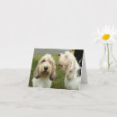 Recherche de chien de basset vœux cartes Pbgv