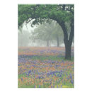 Recherche de brouillard posters Campagne
