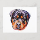 Recherche de chiots rottweiler cartes postales Amoureux des chiens