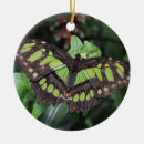 Recherche de insectes ornements Papillon