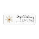 Recherche de white daisy Floral