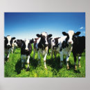 Recherche de vue de face posters Animal
