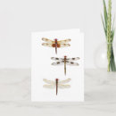 Recherche de ailes libellule cartes postales Mouche
