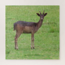 Recherche de faune puzzles Pour lui