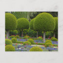Recherche de arbre tulipe cartes postales Nature