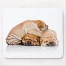 Recherche de shar pei tapis souris Dog