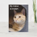 Recherche de chaton autres Anniversaire