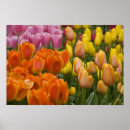 Recherche de lisse art Floral