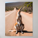 Recherche de kangaroo posters Outback