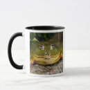 Recherche de vertébré tasses Animal