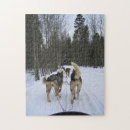 Recherche de chiens traîneau puzzles Hiver