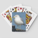 Recherche de oiseau bleu jeux de cartes Ciel