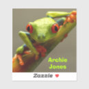 Recherche de grands yeux autocollants Cool
