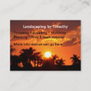 Recherche de palmiers cartes visite Boss