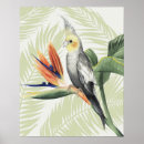 Recherche de feuillage tropical posters Fleurs