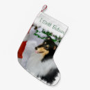 Recherche de colley chaussette de noël Chiens