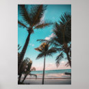 Recherche de cocotier posters Bleu