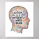 Recherche de cerveau autres Diversité