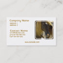 Recherche de mustang cartes visite Cheval