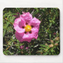Recherche de mexicain tapis souris Fleur