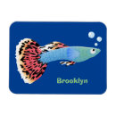 Recherche de poissons tropicaux magnets Poisson tropical