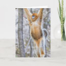 Recherche de singe nez cartes invitations Animaux mignons