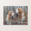 Recherche de basset puzzles Chien de basset