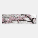 Recherche de fleurs voiture autocollants Fleurs de cerisier
