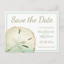Recherche de sand dollar invitations Coquillage