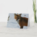Recherche de beaux yeux vœux cartes Faune