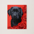 Recherche de labrador puzzles Amusant