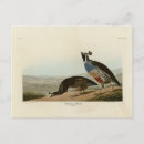 Recherche de perdrix cartes postales Illustration