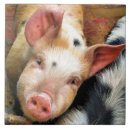 Recherche de humoristique carreaux Porc